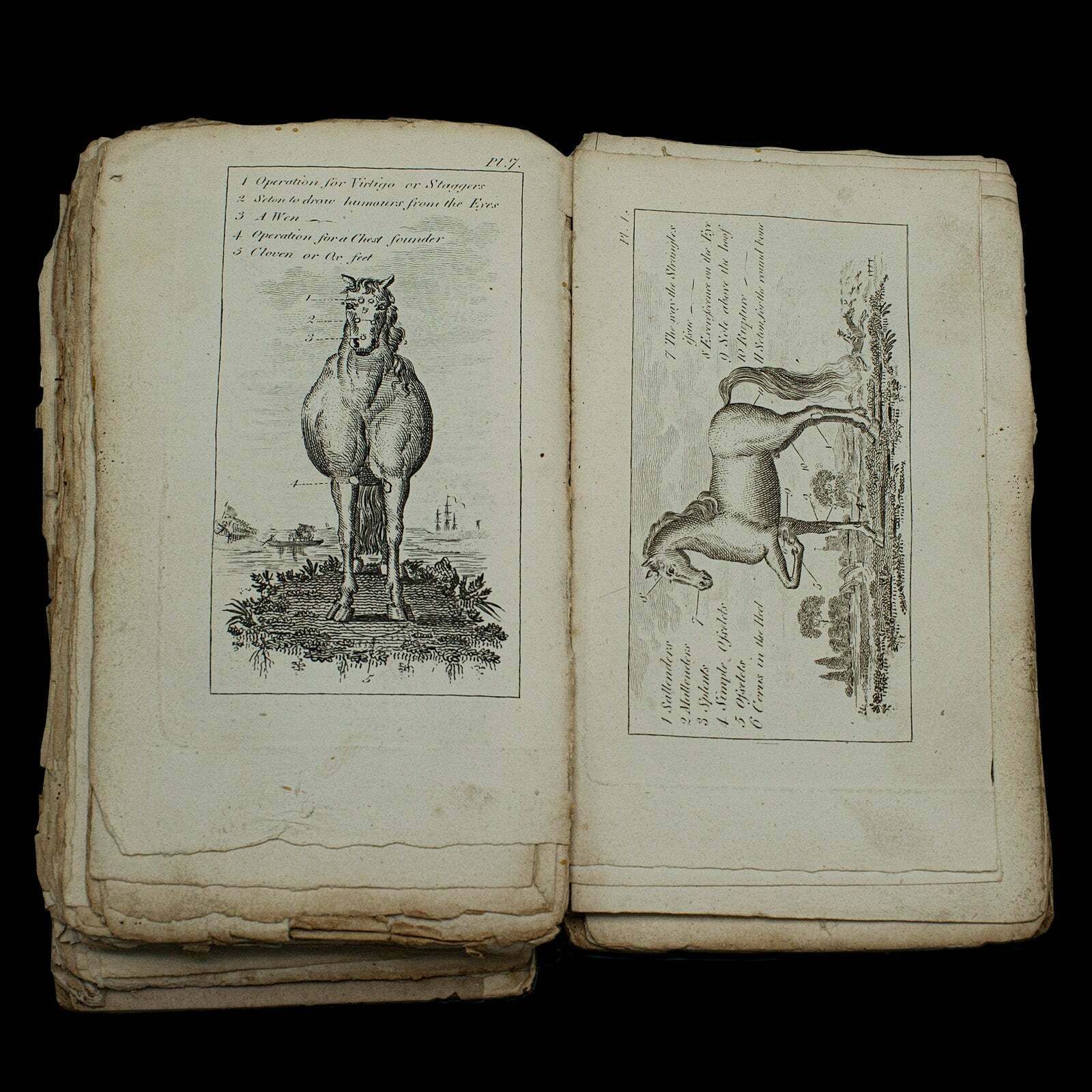 photo furniture Antique Book, Compendium Of Farriery, English, Georgian, Equestrian, London 1796