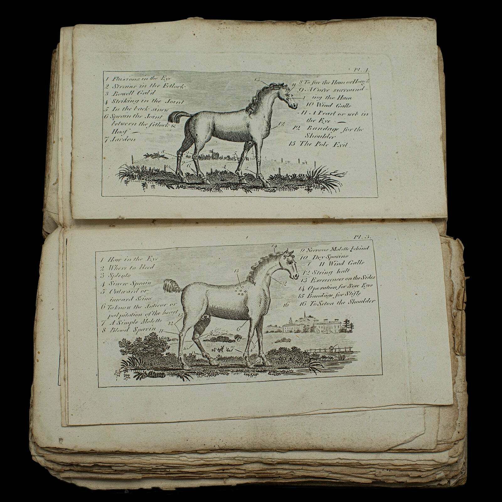 photo for sale Antique Book, Compendium Of Farriery, English, Georgian, Equestrian, London 1796