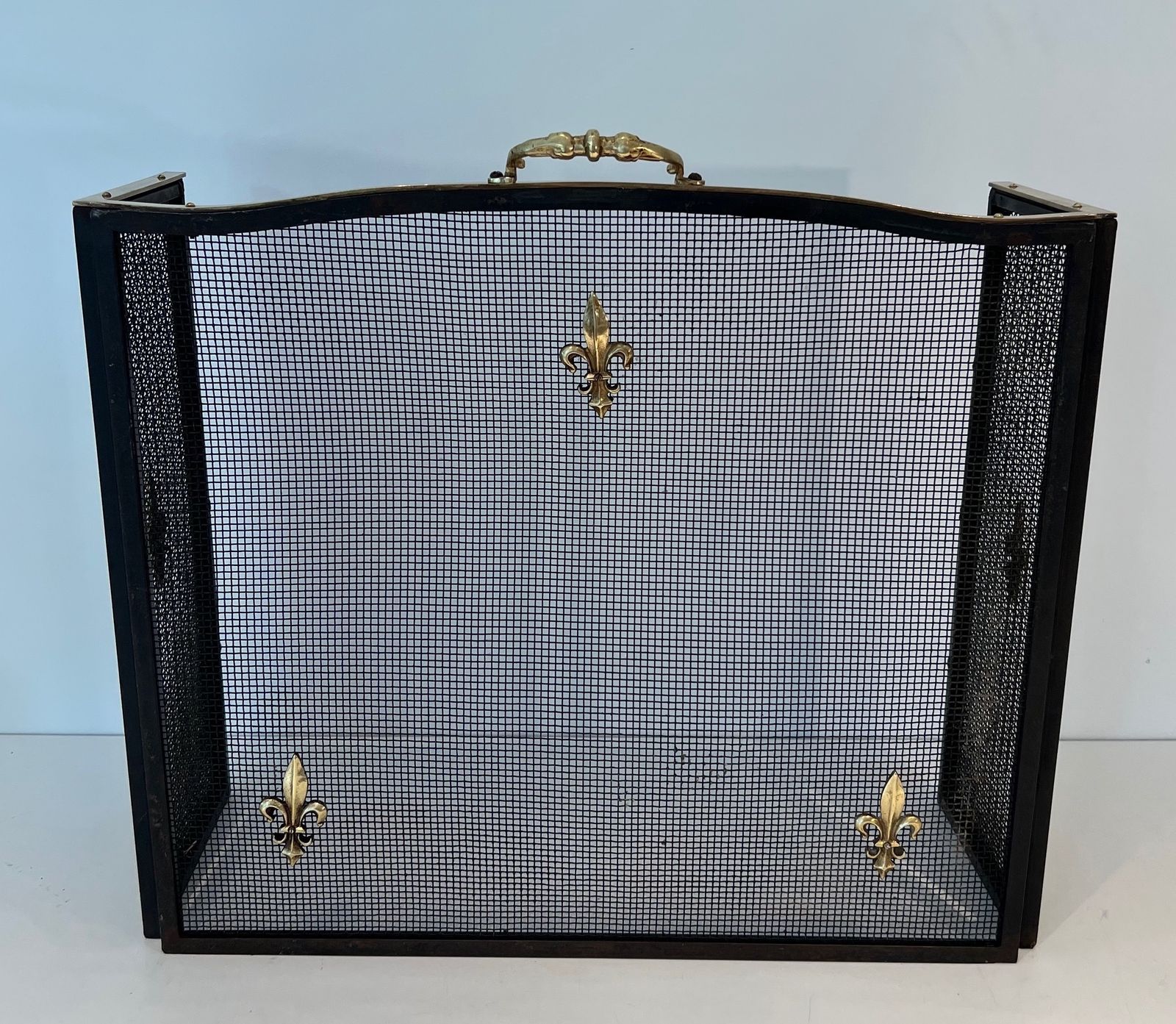 Neoclassical Style Firewall In Steel, Brass And Mesh With Fleurs De Lys Decor photo for sale