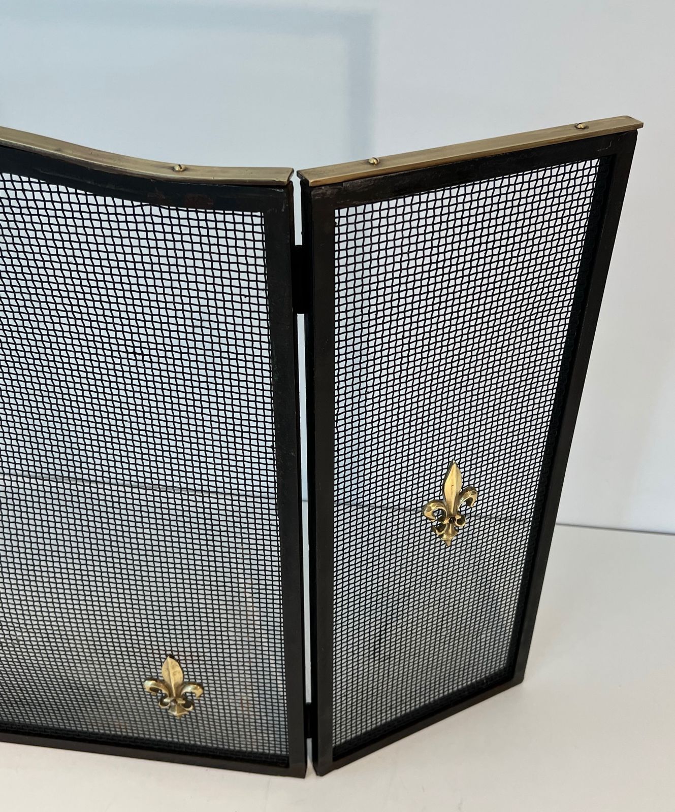 photo for sale Neoclassical Style Firewall In Steel, Brass And Mesh With Fleurs De Lys Decor