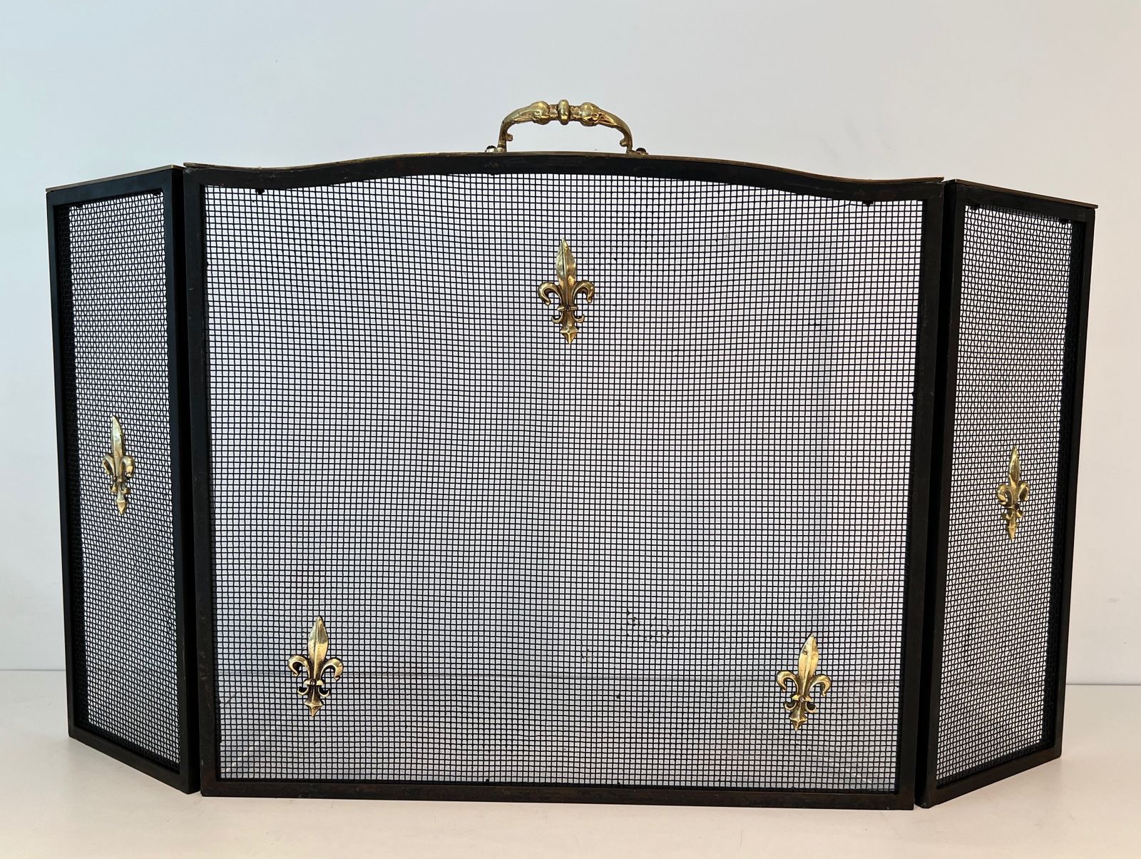1050.0 Neoclassical Style Firewall In Steel, Brass And Mesh With Fleurs De Lys Decor photo