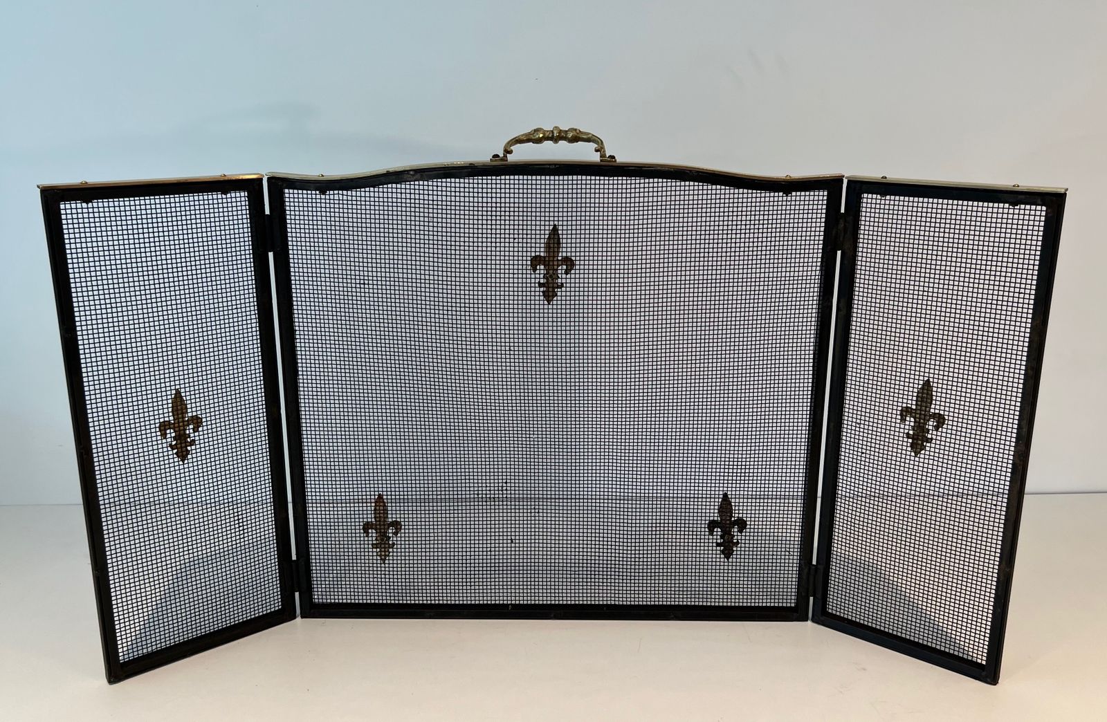 photo vinterior Neoclassical Style Firewall In Steel, Brass And Mesh With Fleurs De Lys Decor