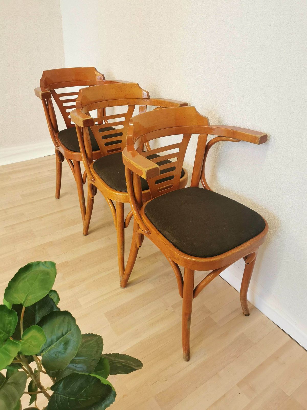 photo furniture Set Of 3 Vintage Bentwood Dining Chairs In Irish Pub Style With Fabric Seat / Mid Century Wooden Armchair With Armrest In Thonet Style 1970s