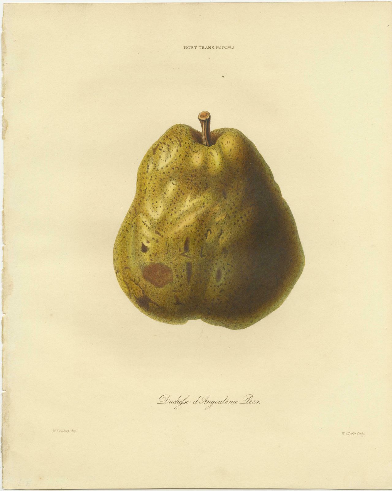 Set Of 2 Antique Prints Of The Duchesse D'angouleme Pear And Others photo furniture