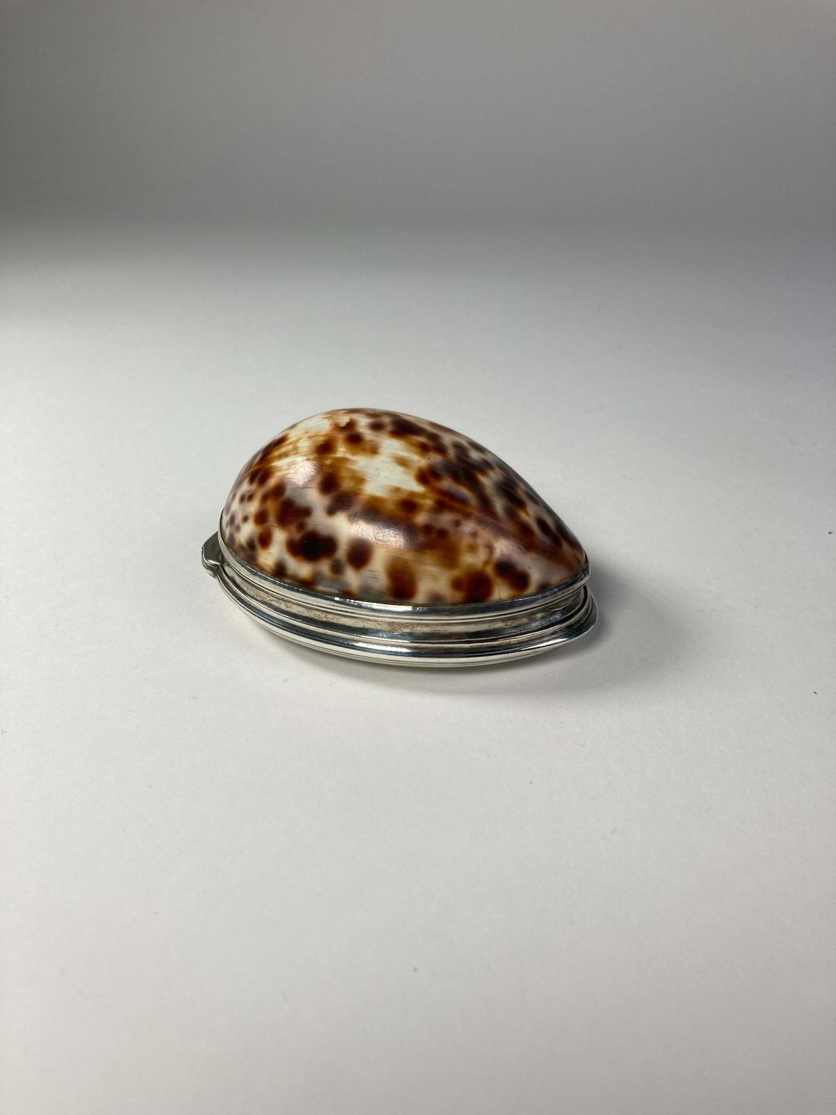 Aeneas Ryan Silver Cowrie Shell Snuff Box photo for sale