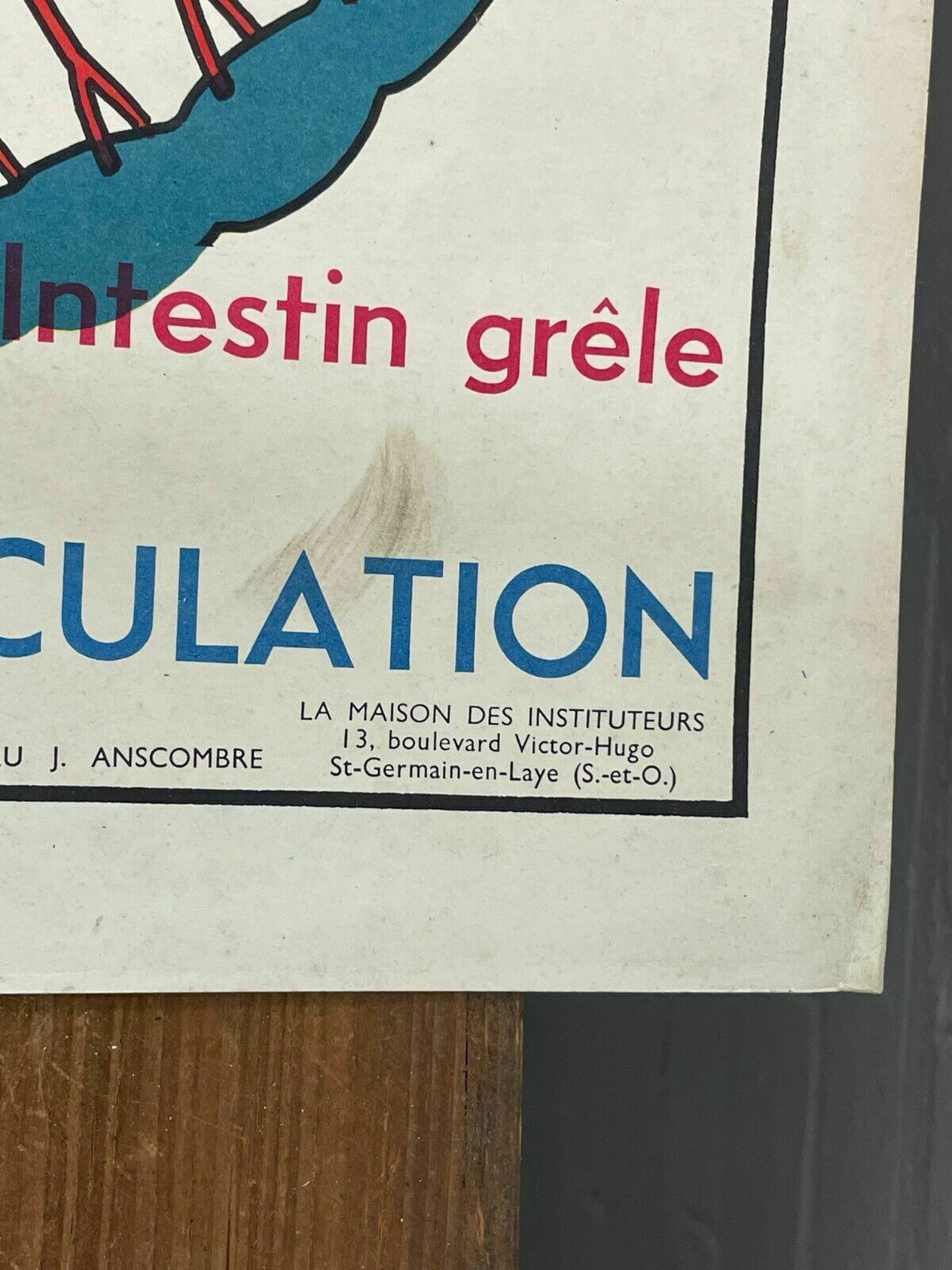 Vintage French Rossignal Anatomical Medical Poster Circulation photo buy