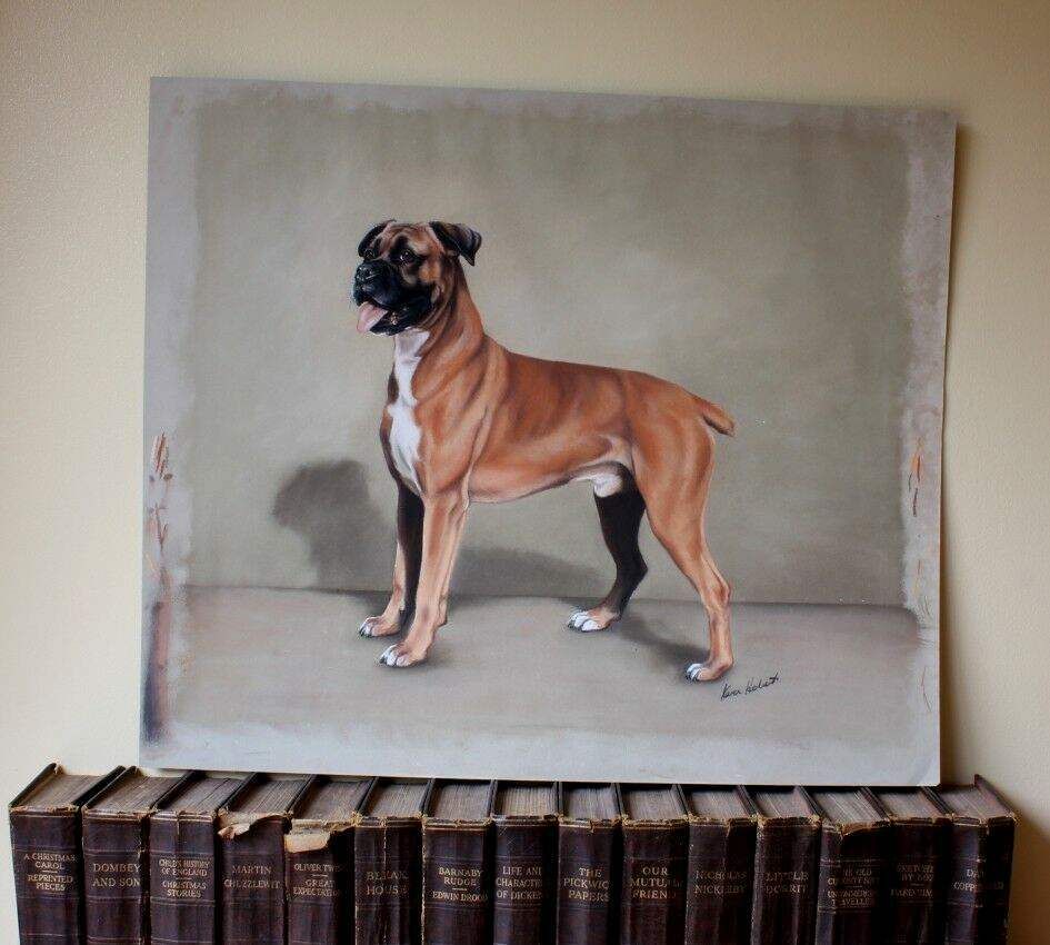 Boxer Dog Pastel Painting By Karen Herbert Animal Artist photo furniture