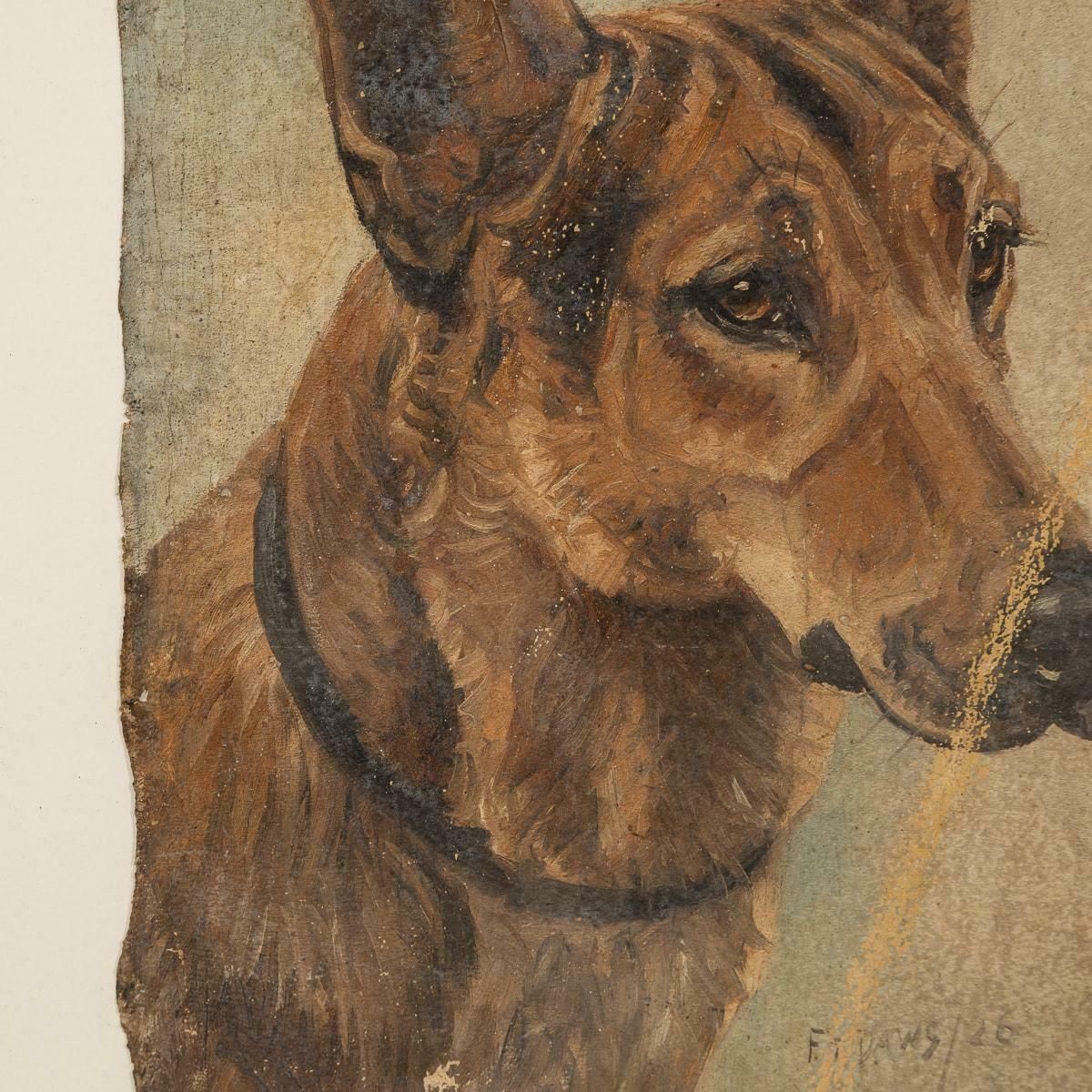 Antique 20thc Framed German Shepherd Oil On Canvas By Frederick T. Daws C.1926 photo buy