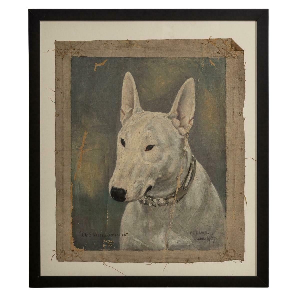 Antique 20thc Framed English Bull Terrier Oil On Canvas By Frederick Thomas Daws photo vinterior