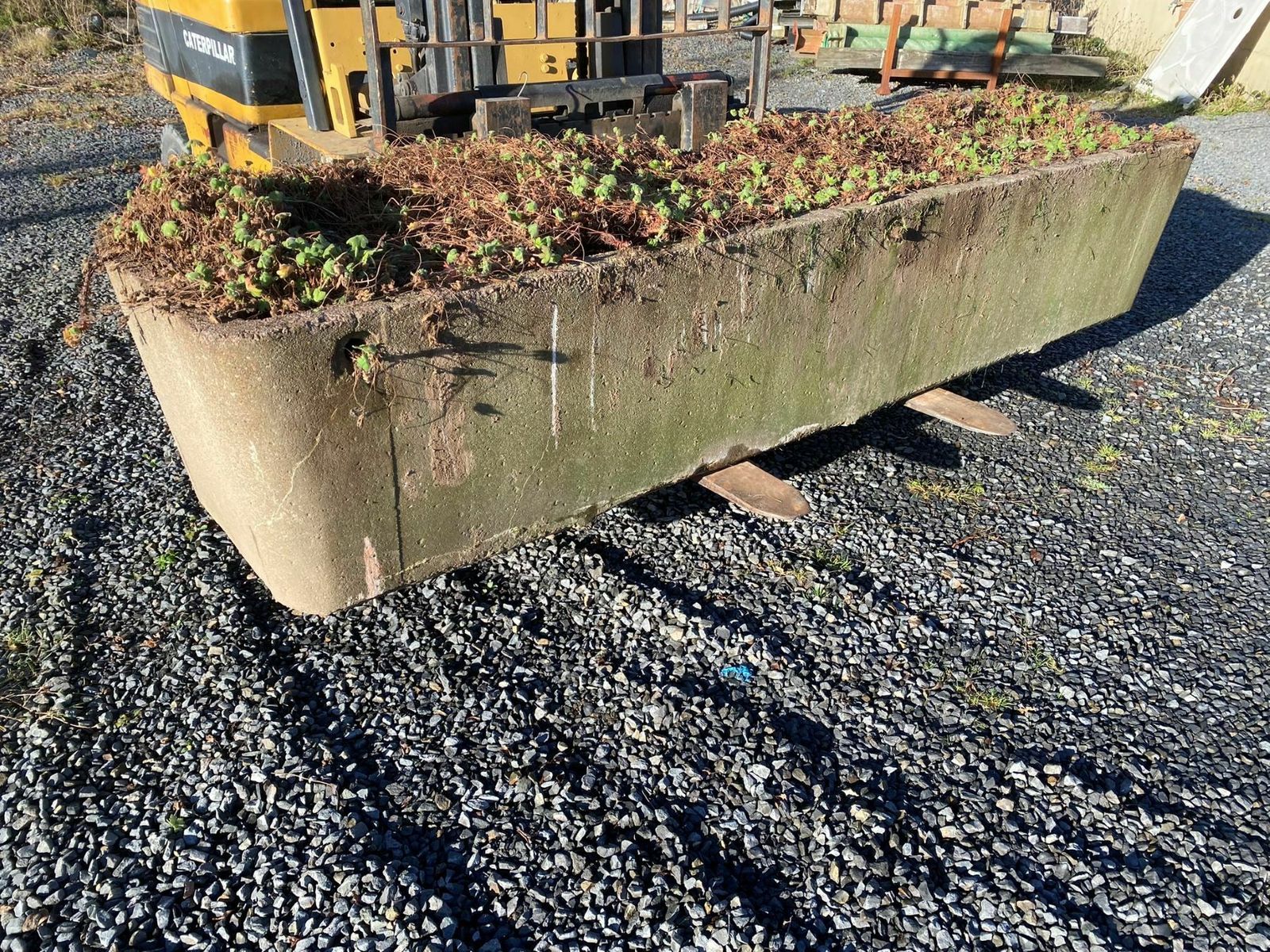 Large Scale 1970s Concrete Planter Trough In The Manner Of Willy Guhl photo Home Decor