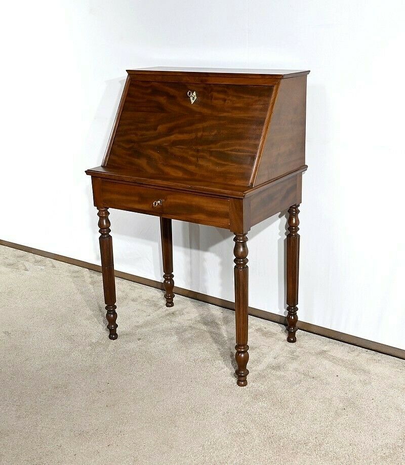 Small Lady's Desk, Louis Philippe Period – 1st Part 19th Century photo furniture