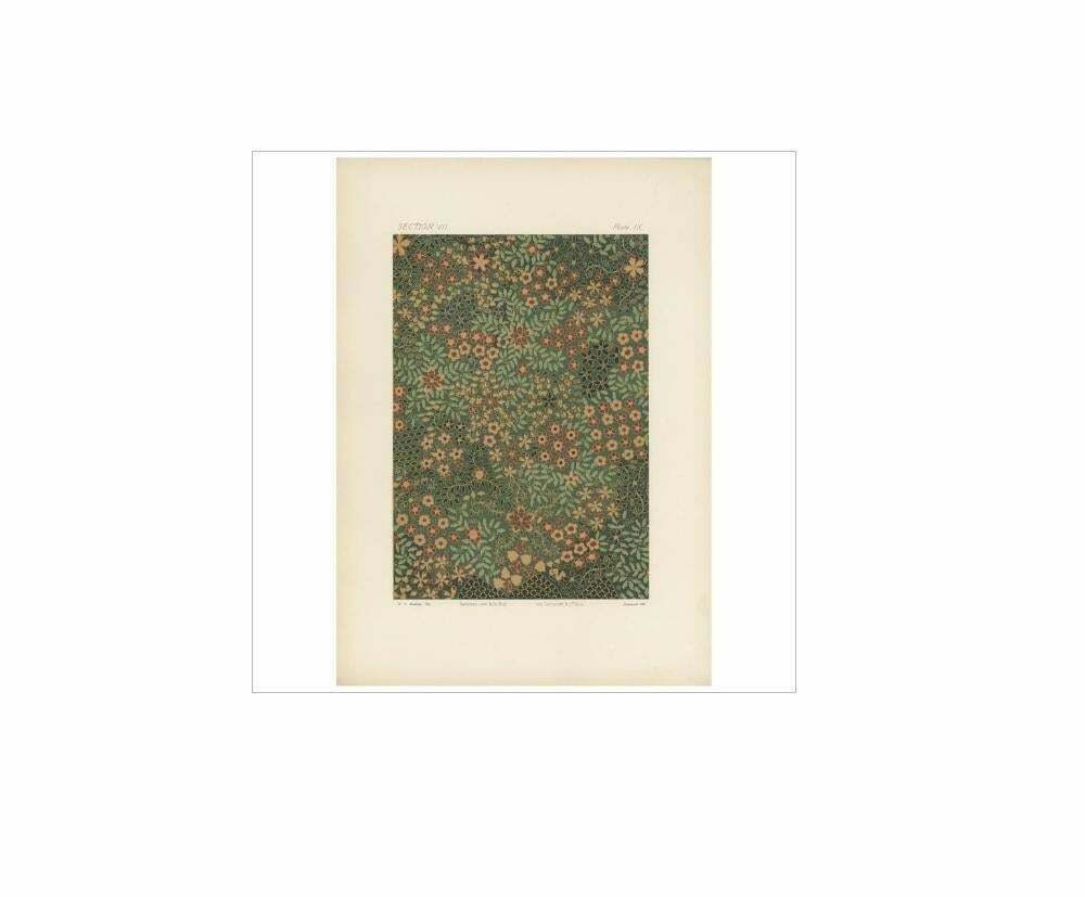 Antique Print Of The Surface Of A Japanese Jar By G. Audsley, 1884 photo Art