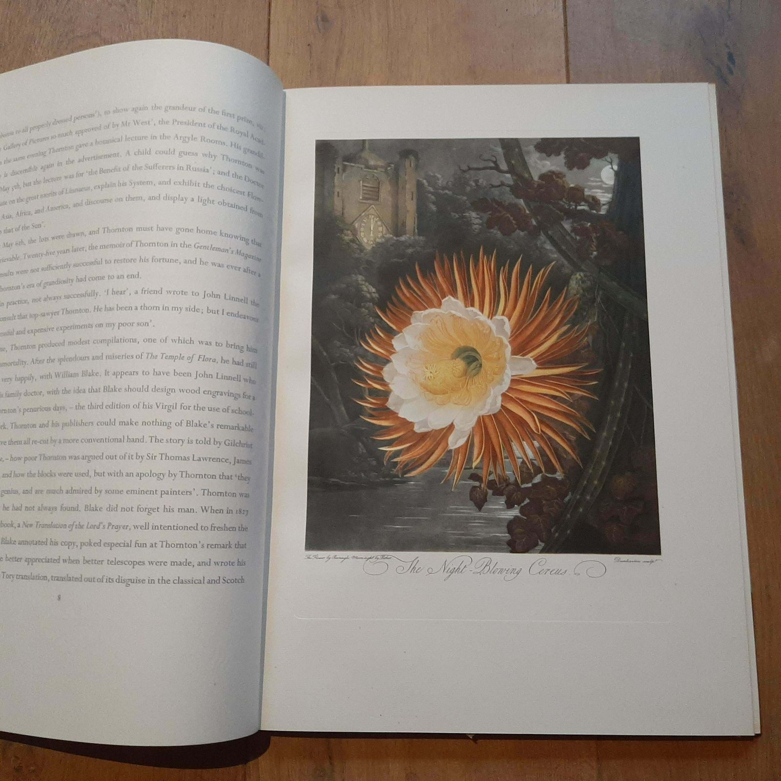 Limited Edition Thornton's Temple Of Flora By DR. Robert John Thornton '1951' photo Home Decor