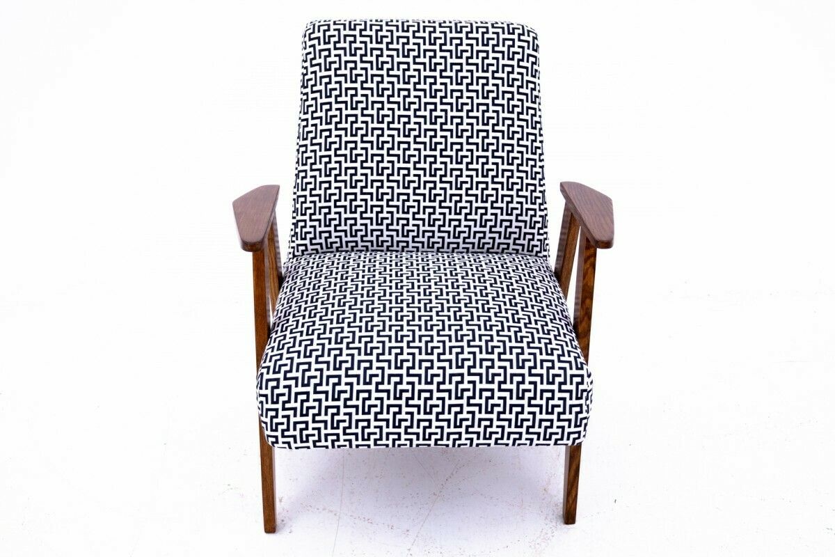 Armchair 366 Designed By Chierowski, Poland, 1960s. photo for sale