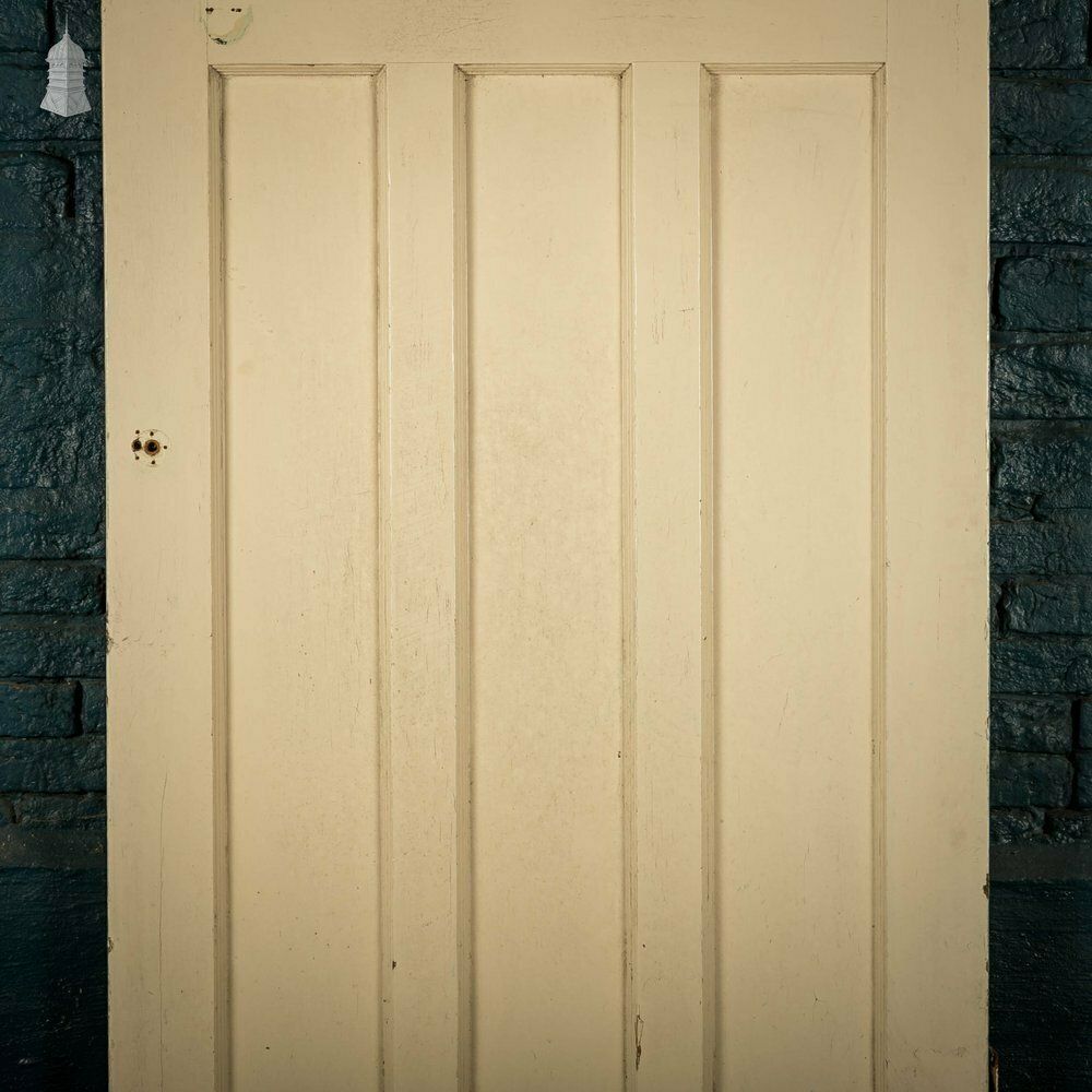 Pine Panelled Door, Moulded 6 Panel, White Painted photo Home Fixtures