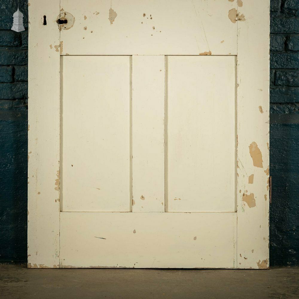 Pine Panelled Door, White Painted photo Home Fixtures