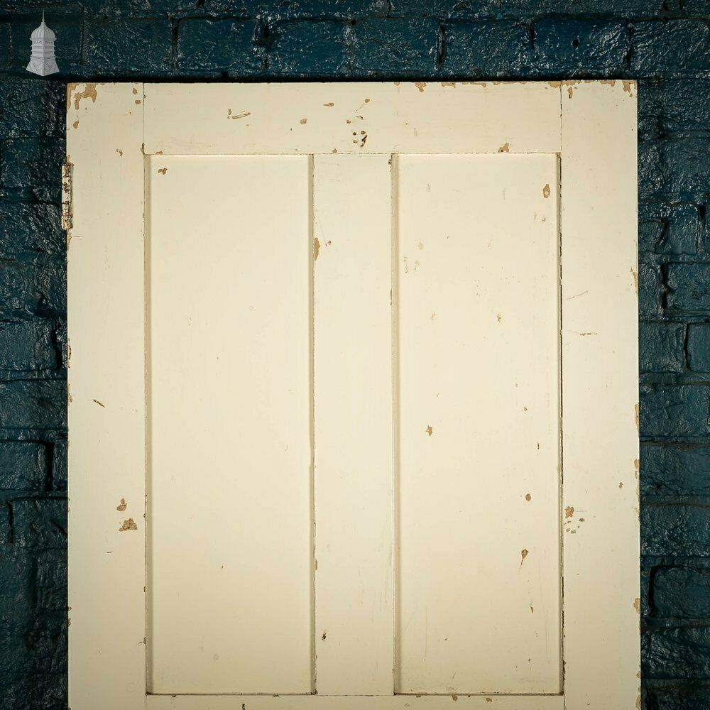 photo furniture Pine Panelled Door, White Painted