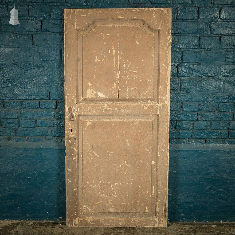 French Cupboard Door, 18th C Moulded 2 Panel Pine Door With Distressed Painted Finish