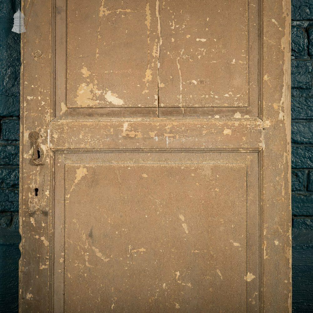 French Cupboard Door, 18th C Moulded 2 Panel Pine Door With Distressed Painted Finish photo for sale