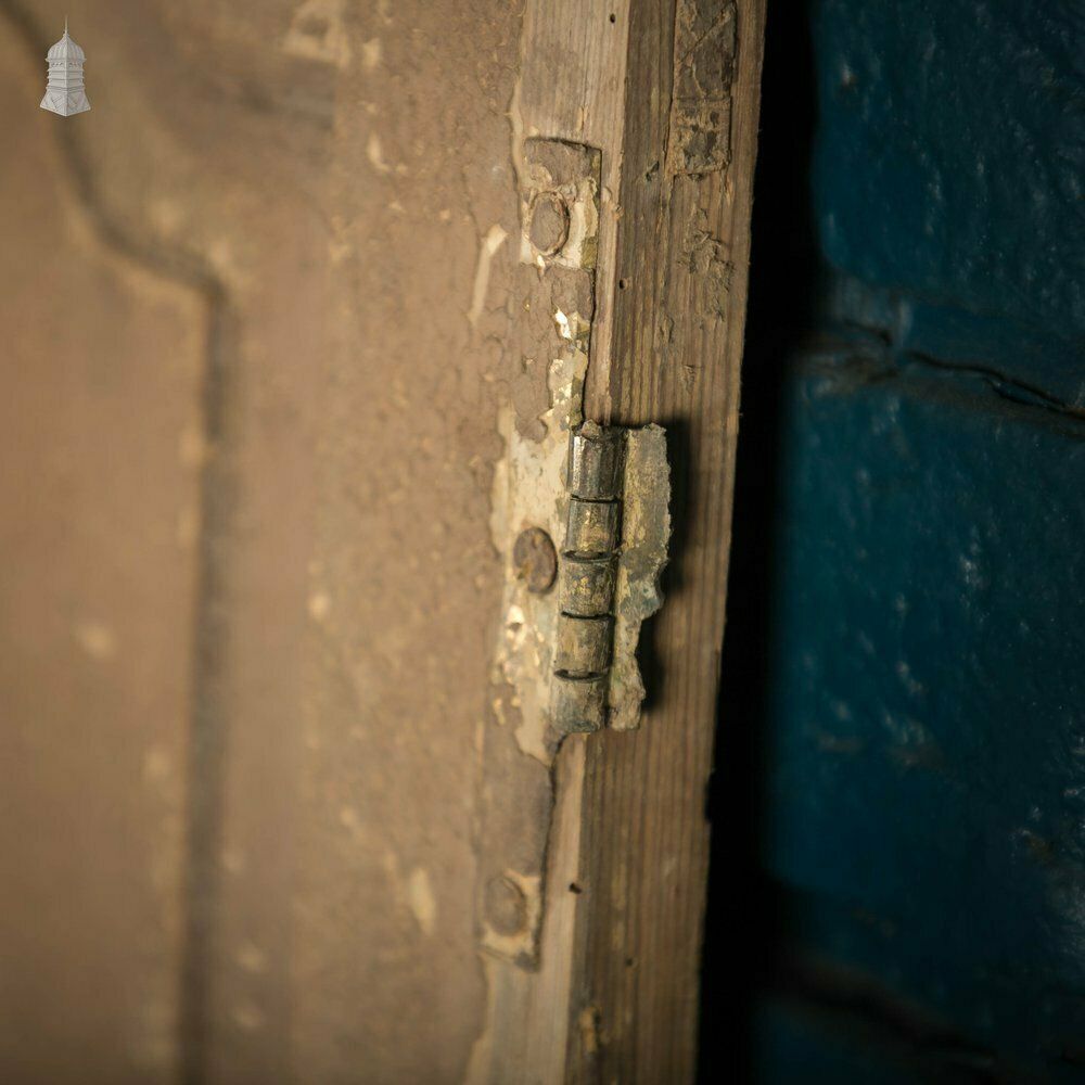 French Cupboard Door, 18th C Moulded 2 Panel Pine Door With Distressed Painted Finish photo vinterior