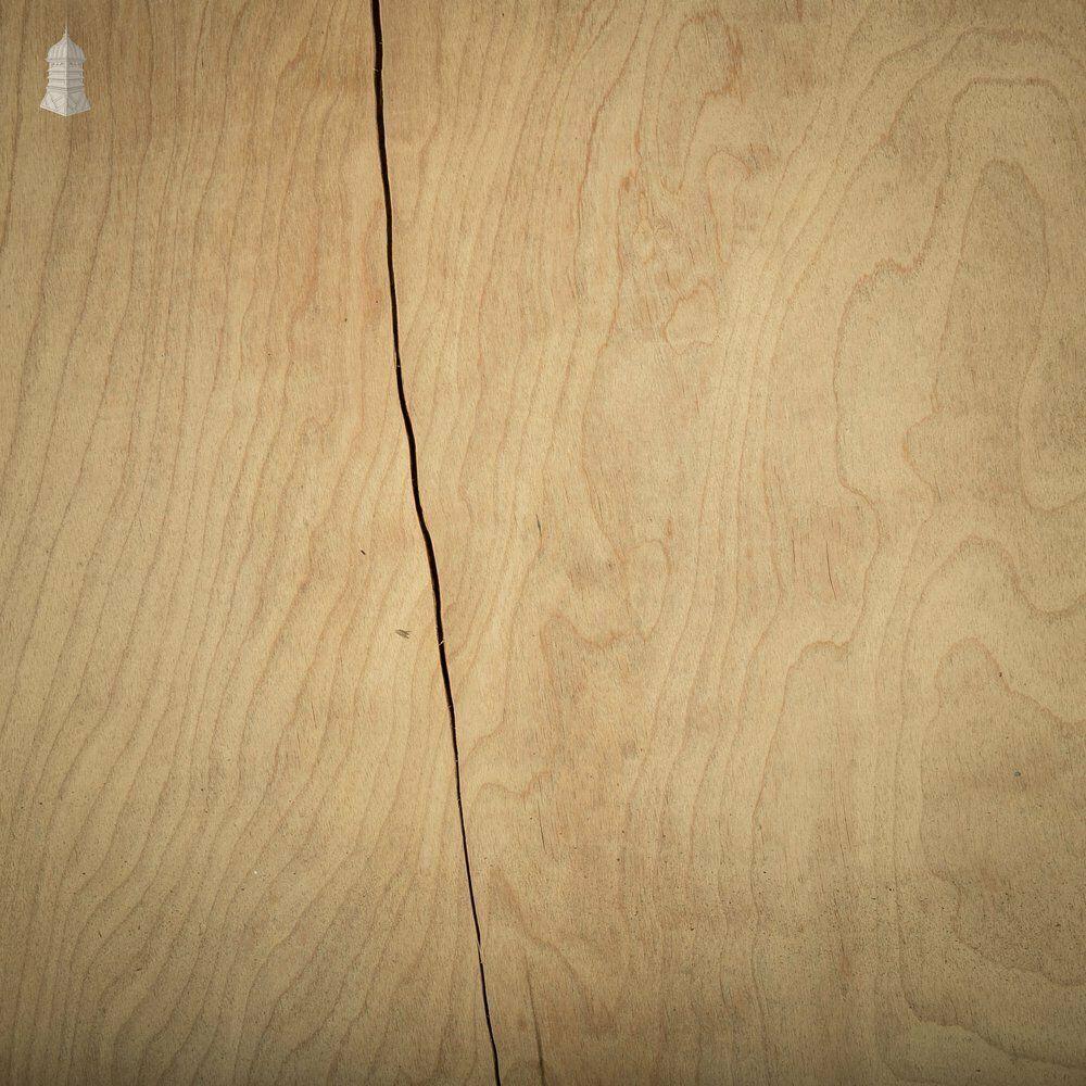 Pine Panelled Doors, Set Of 2 photo furniture