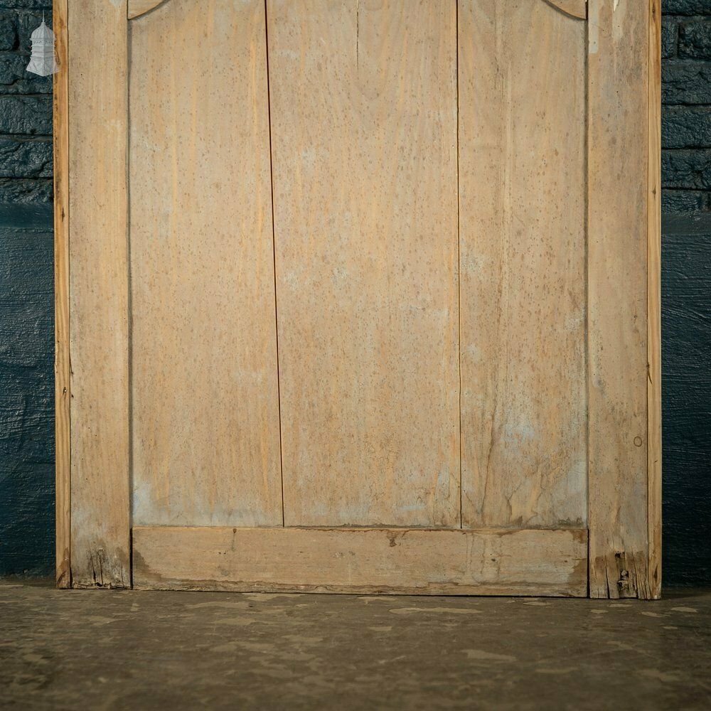 Pine Panelled Door, 19th C French, 2 Moulded Panels photo 480.0