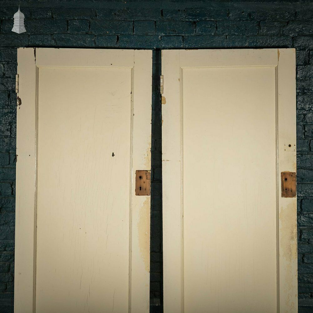 Pine Panelled Doors Pair Of White Painted Doors photo furniture