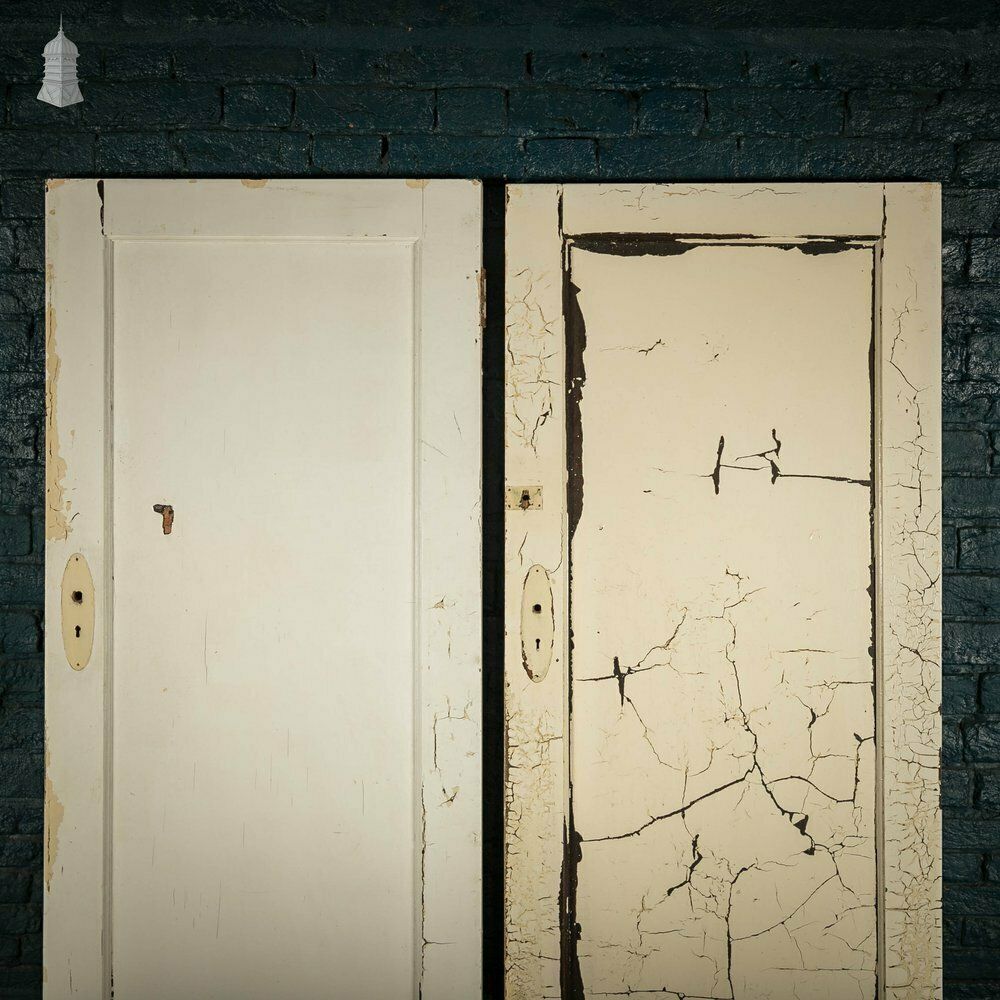 Pine Panelled Doors Pair Of White Painted Doors photo buy