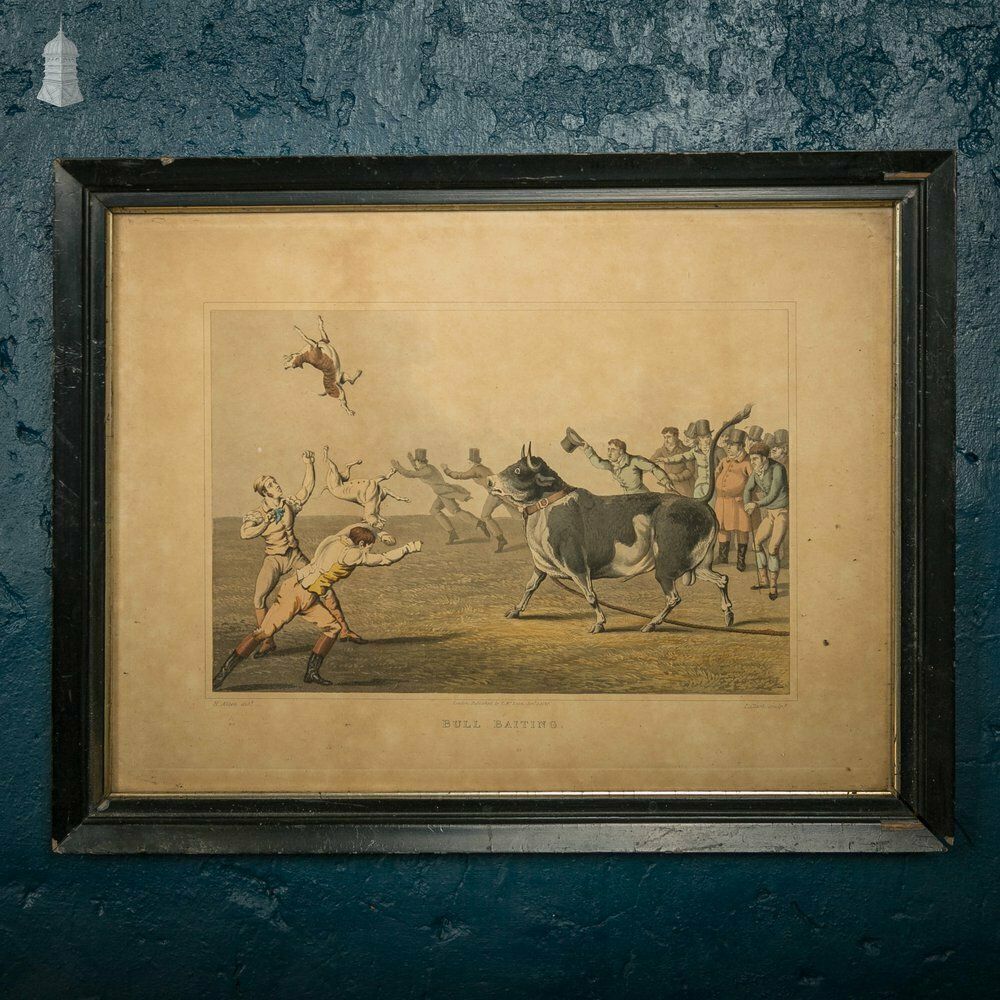 Bull Baiting Etchings, Pair Of Colored Etchings photo for sale