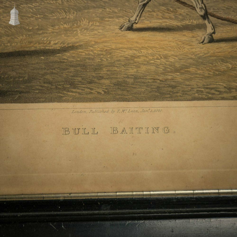 Bull Baiting Etchings, Pair Of Colored Etchings photo 240.0