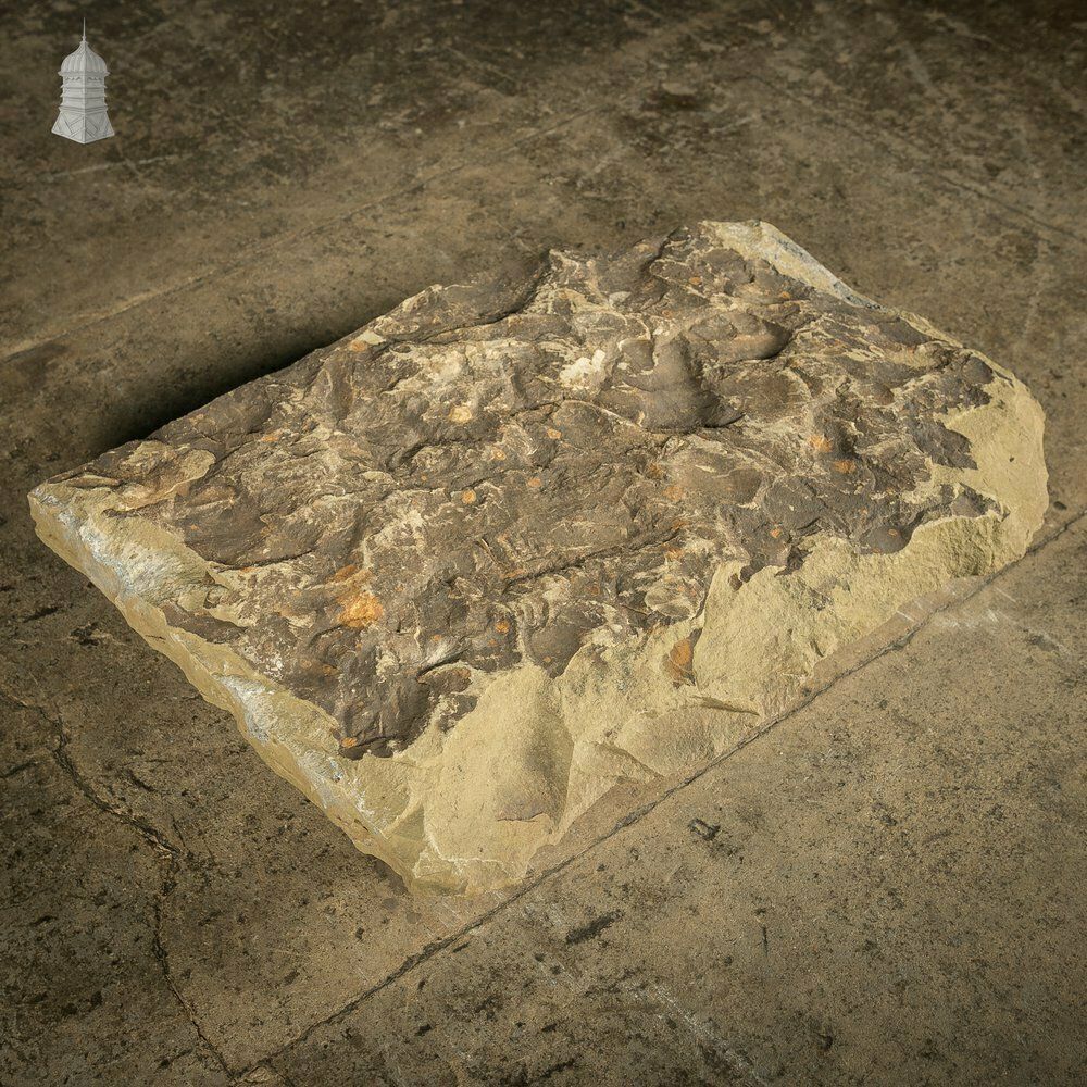 Riven Flagstone With A Weathered Face And Cut Back photo for sale
