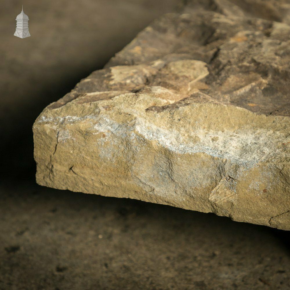 Riven Flagstone With A Weathered Face And Cut Back photo vinterior