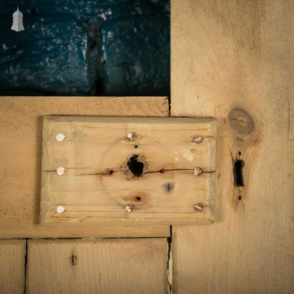 Glazed Pine Door, Edwardian Framed Plank photo vintage