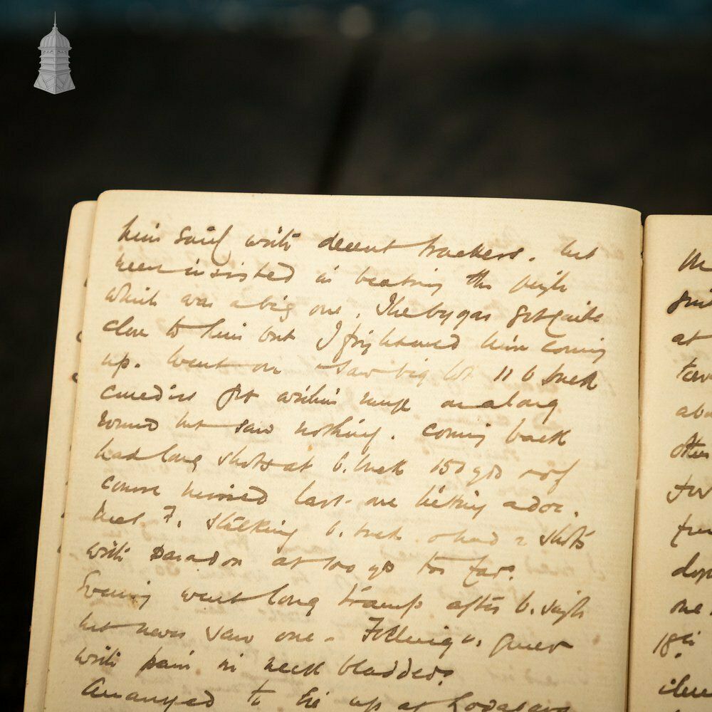 photo buy Small 19th C Red Leather Bound Journal Documenting A Hunting Trip To India With Hand Drawn Sketches