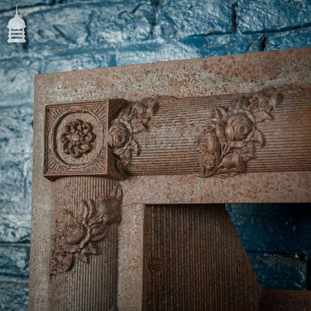 19th C Carron Company Cast Iron Fireplace Insert photo for sale