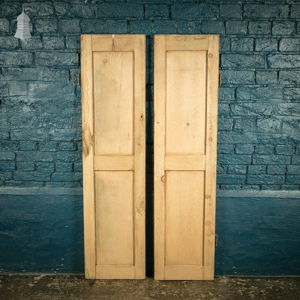 Pair Of Small 19th C Stripped Pine Moulded Panel Cupboard Doors photo vinterior
