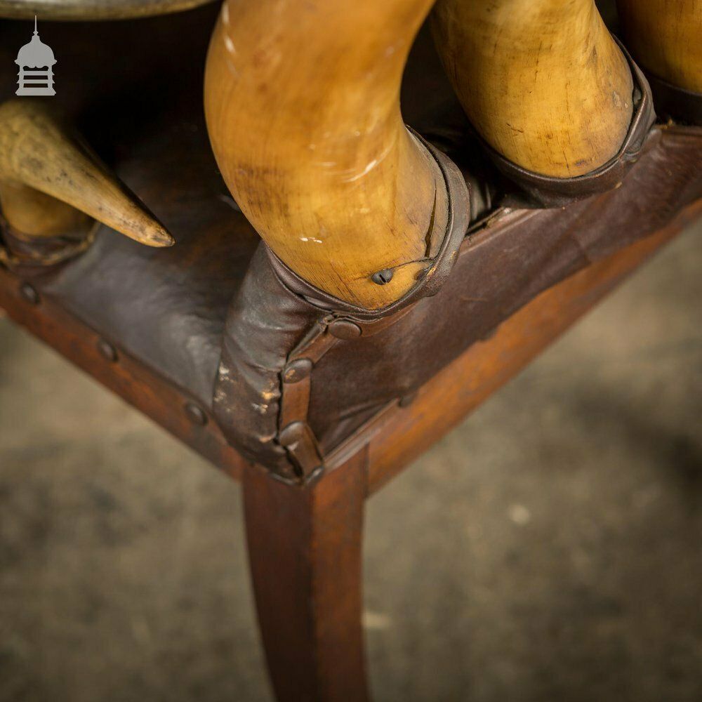 photo furniture 19th C Longhorn Steer Throne Chair With Turned Oak Legs