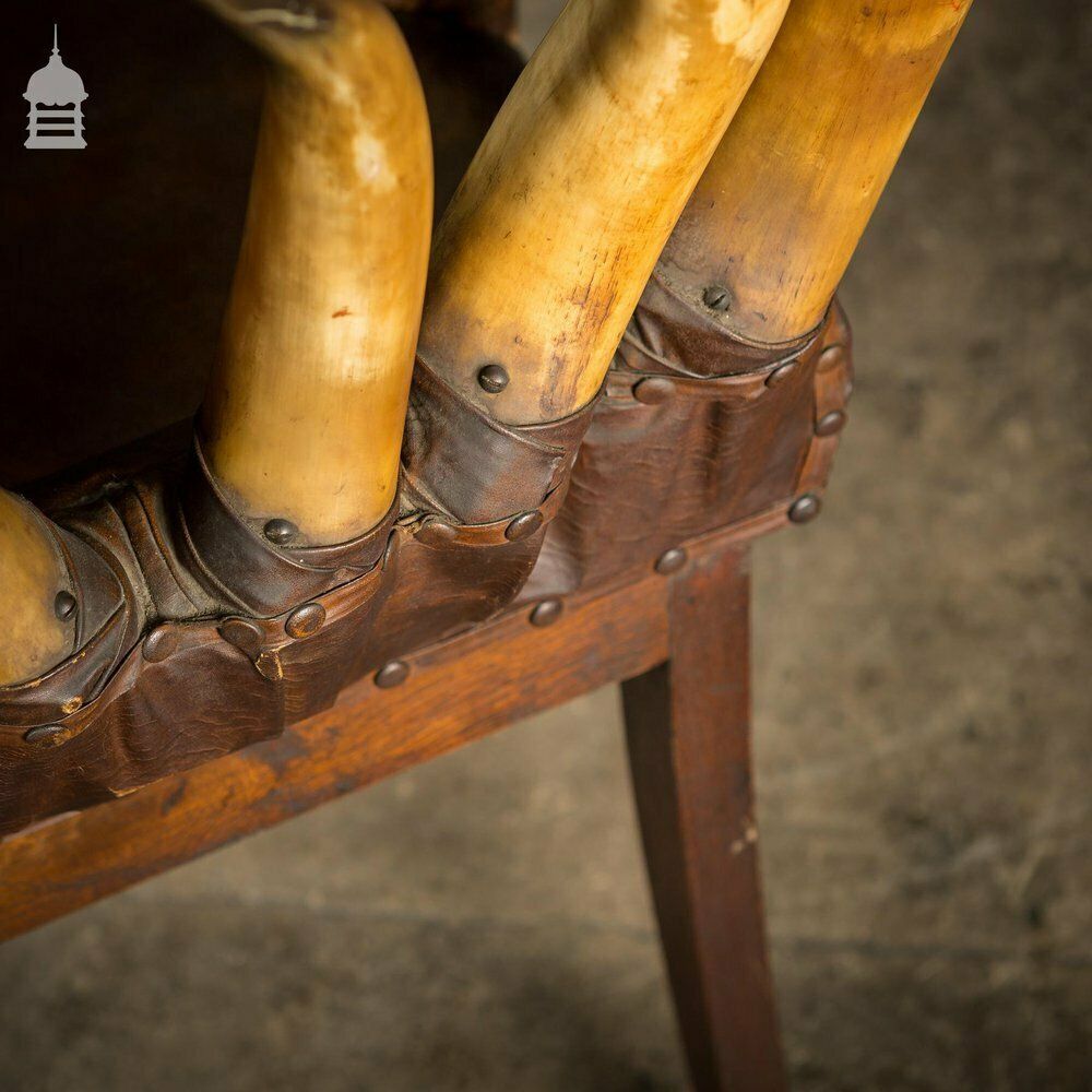 photo vintage 19th C Longhorn Steer Throne Chair With Turned Oak Legs