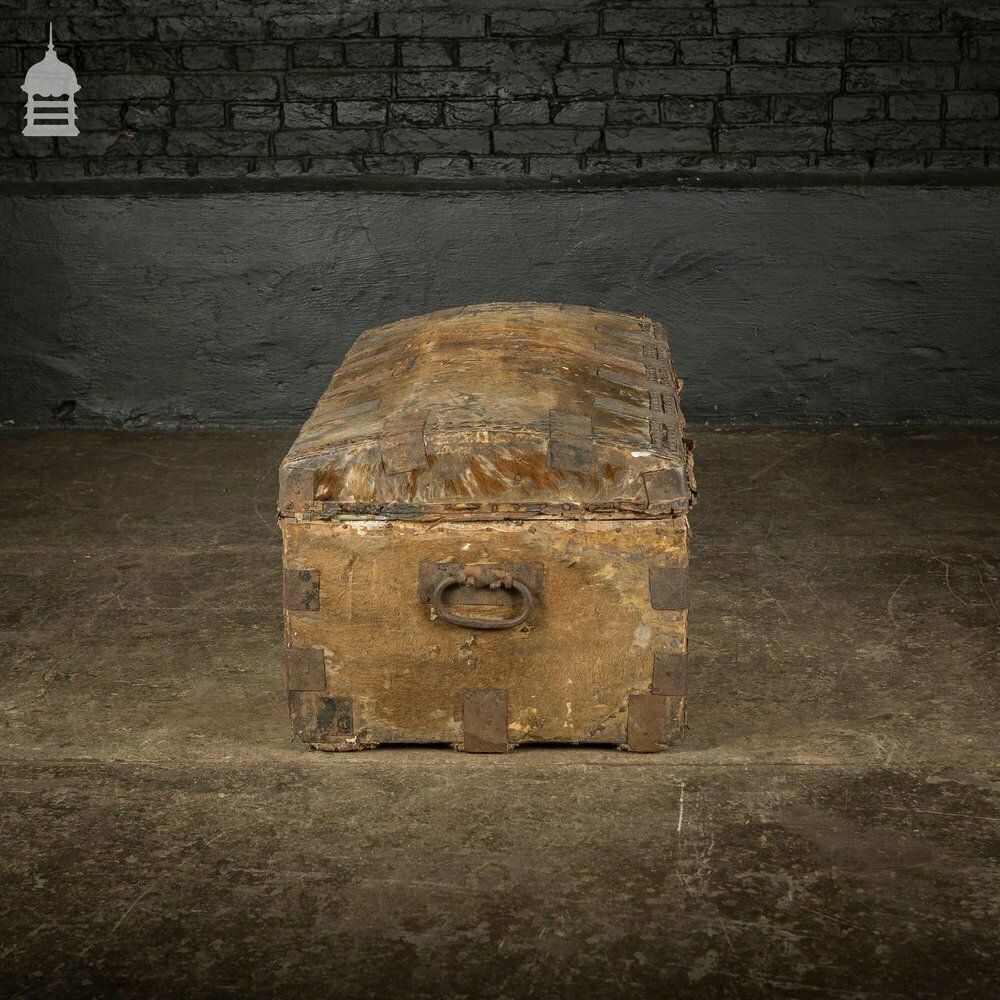 19th C Wooden Trunk Covered In Hide With Metal Strapping, Studs And E.V Monogram On Lid photo for sale