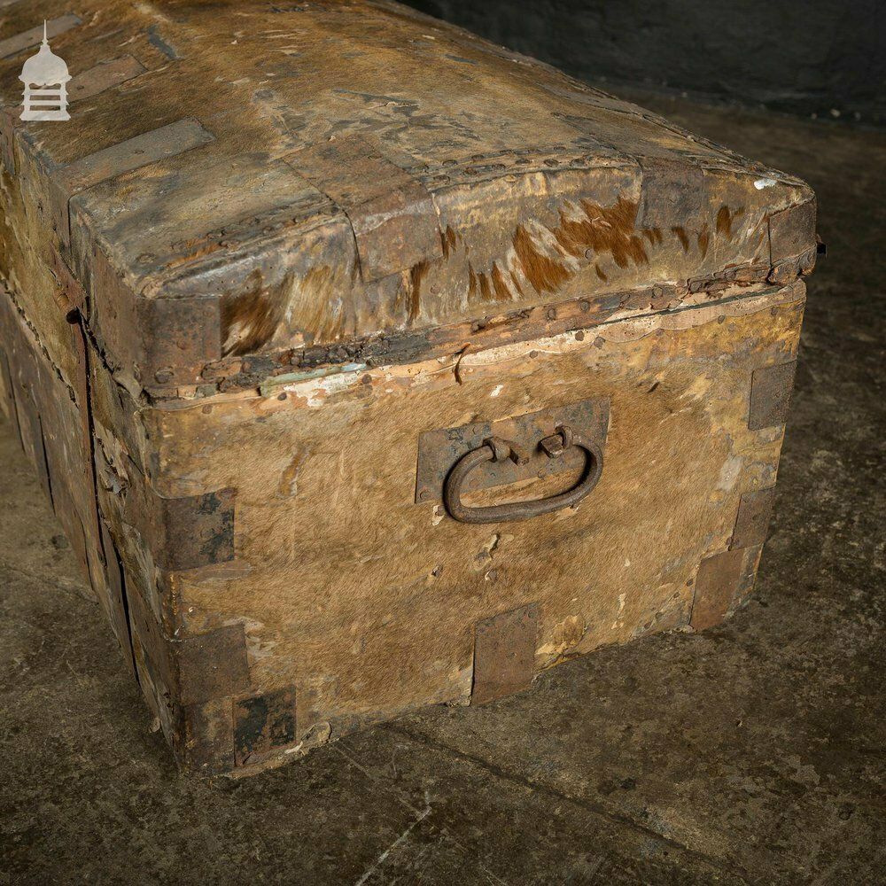 Furniture 19th C Wooden Trunk Covered In Hide With Metal Strapping, Studs And E.V Monogram On Lid photo