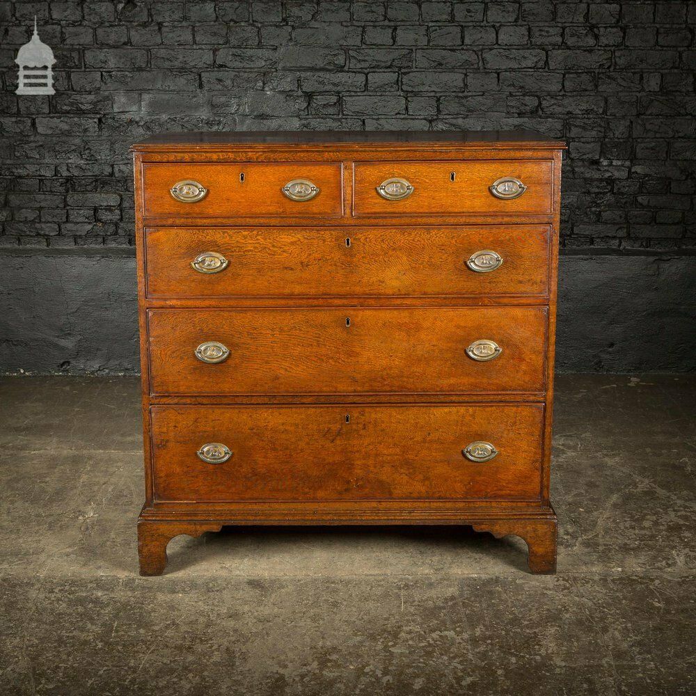 George III Oak Chest Of Drawers With Brass Sphinx Drawer Pull Handles photo buy
