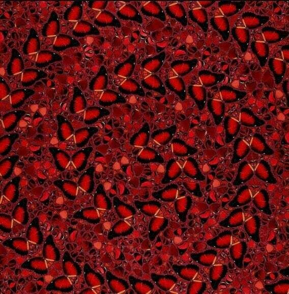 Damien Hirst The Empresses H10 5 Taytu Betul , 2022