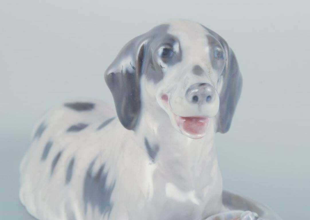 Royal Copenhagen, Porcelain Figurine Of A Setter With Pheasant. photo 160.0