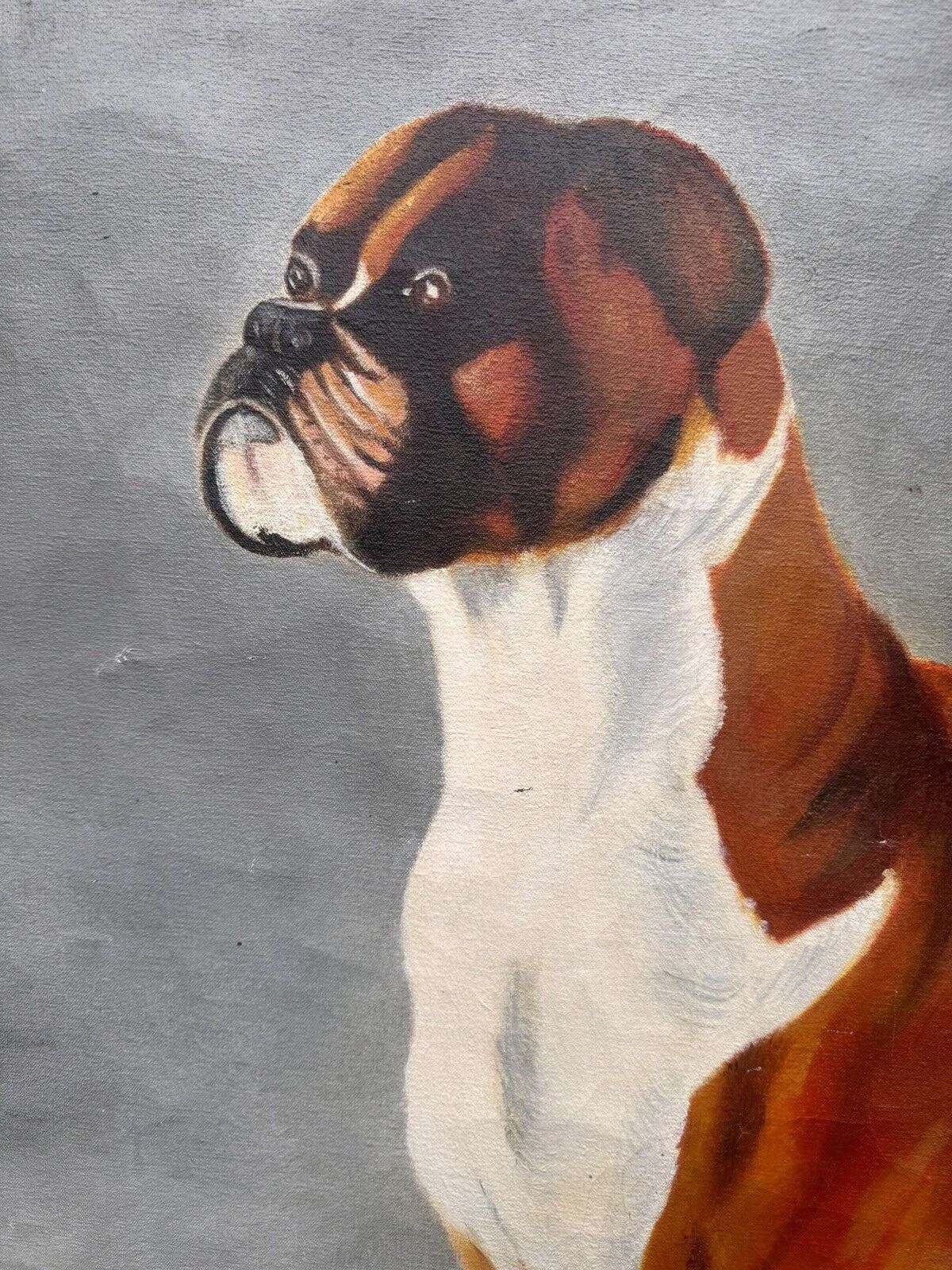 Large Oil Painting Of A Boxer Dog photo 300.0