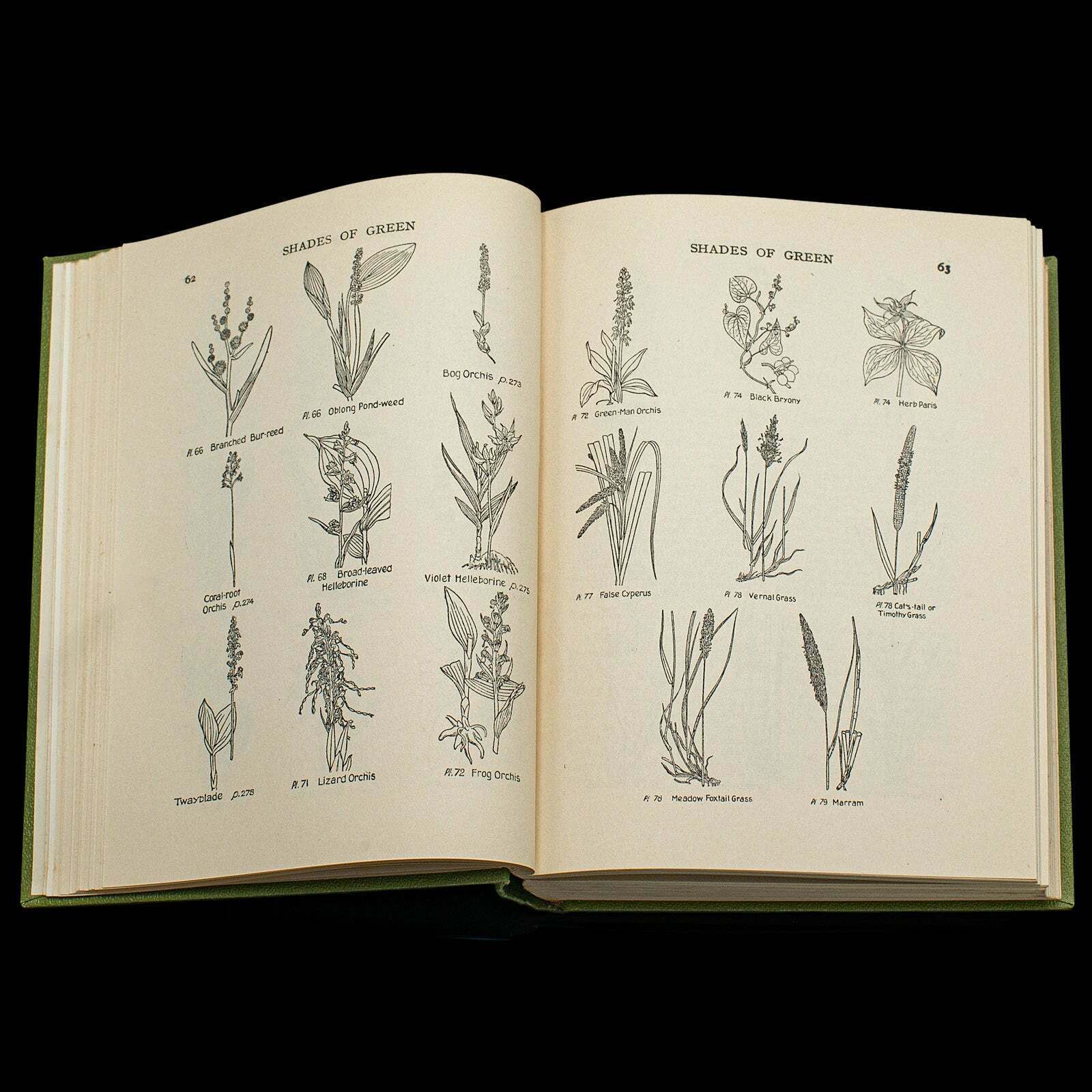 Vintage Reference Book, Wild Flowers Of The Wayside, English, Botanical Guide photo vinterior