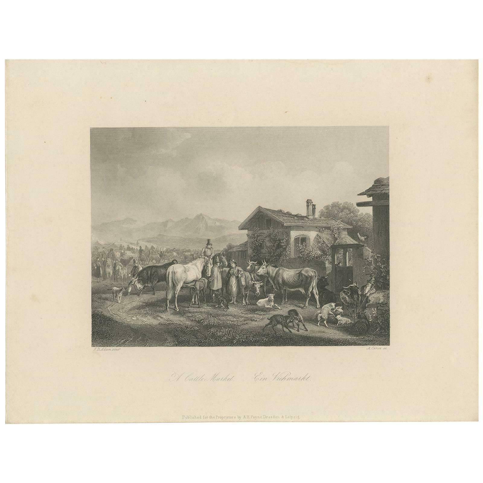 Antique Print Of A Cattle Market By A. Carse, Circa 1850