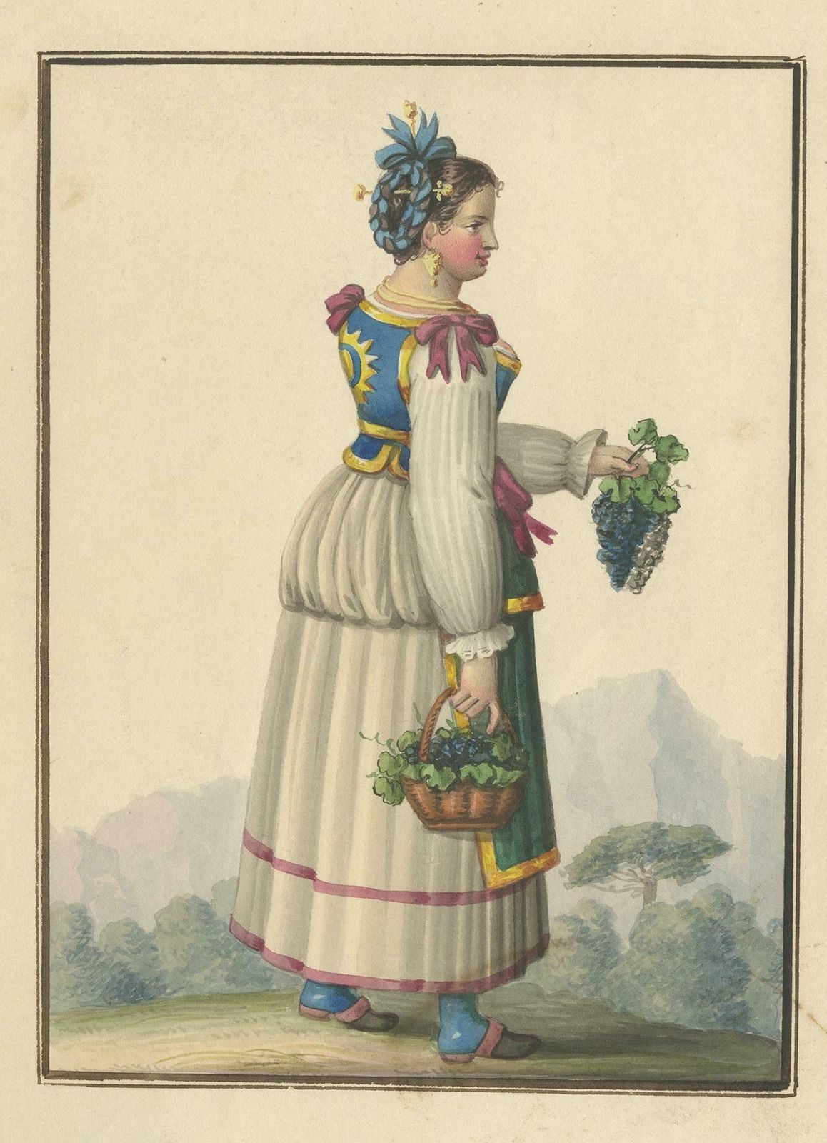 Antique Print Of A Woman Harvesting Grapes 'Circa 1880' photo furniture