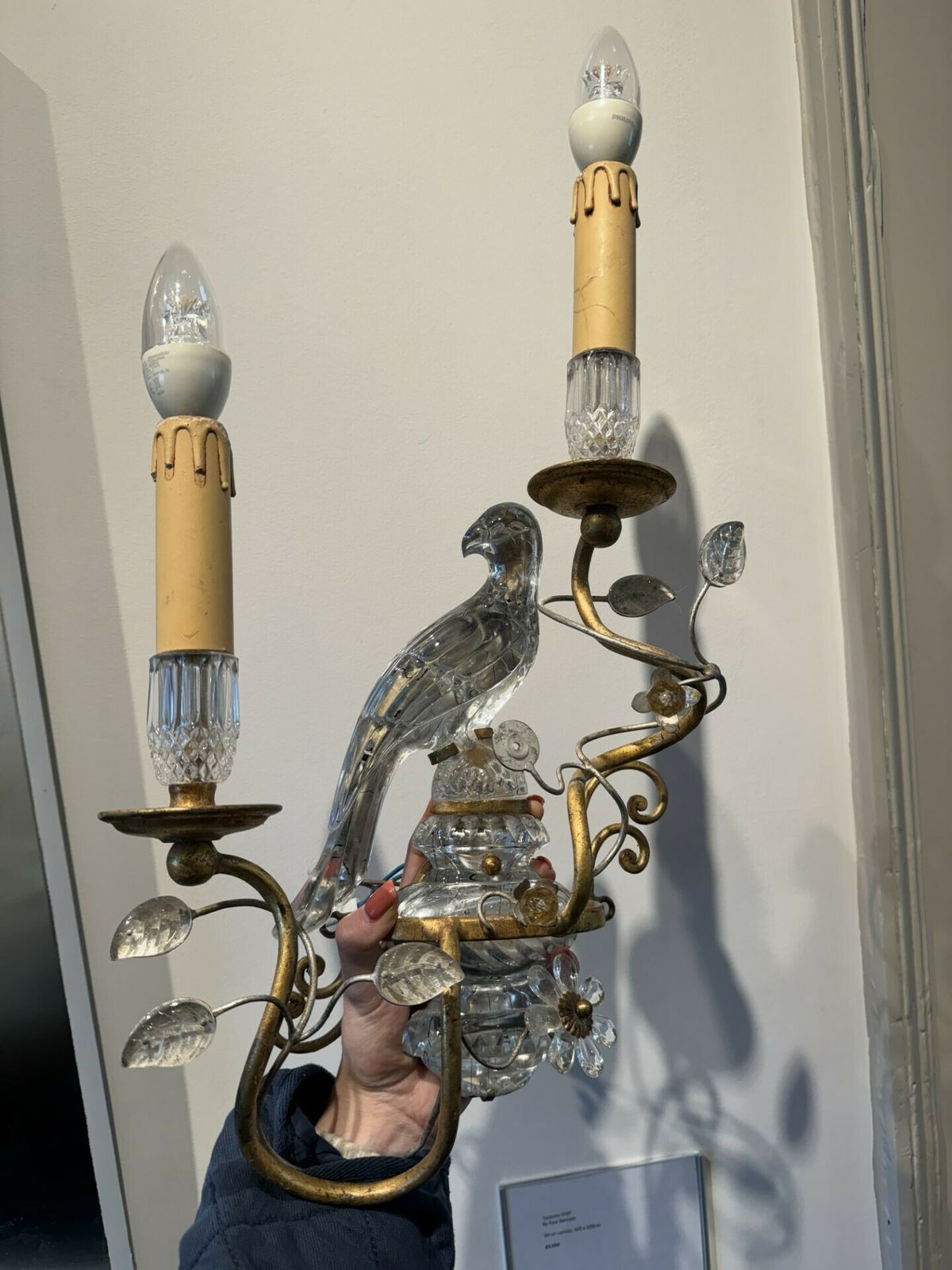 Maison Baguès Style Gilt Metal Sconce With Glass Parrots Pair