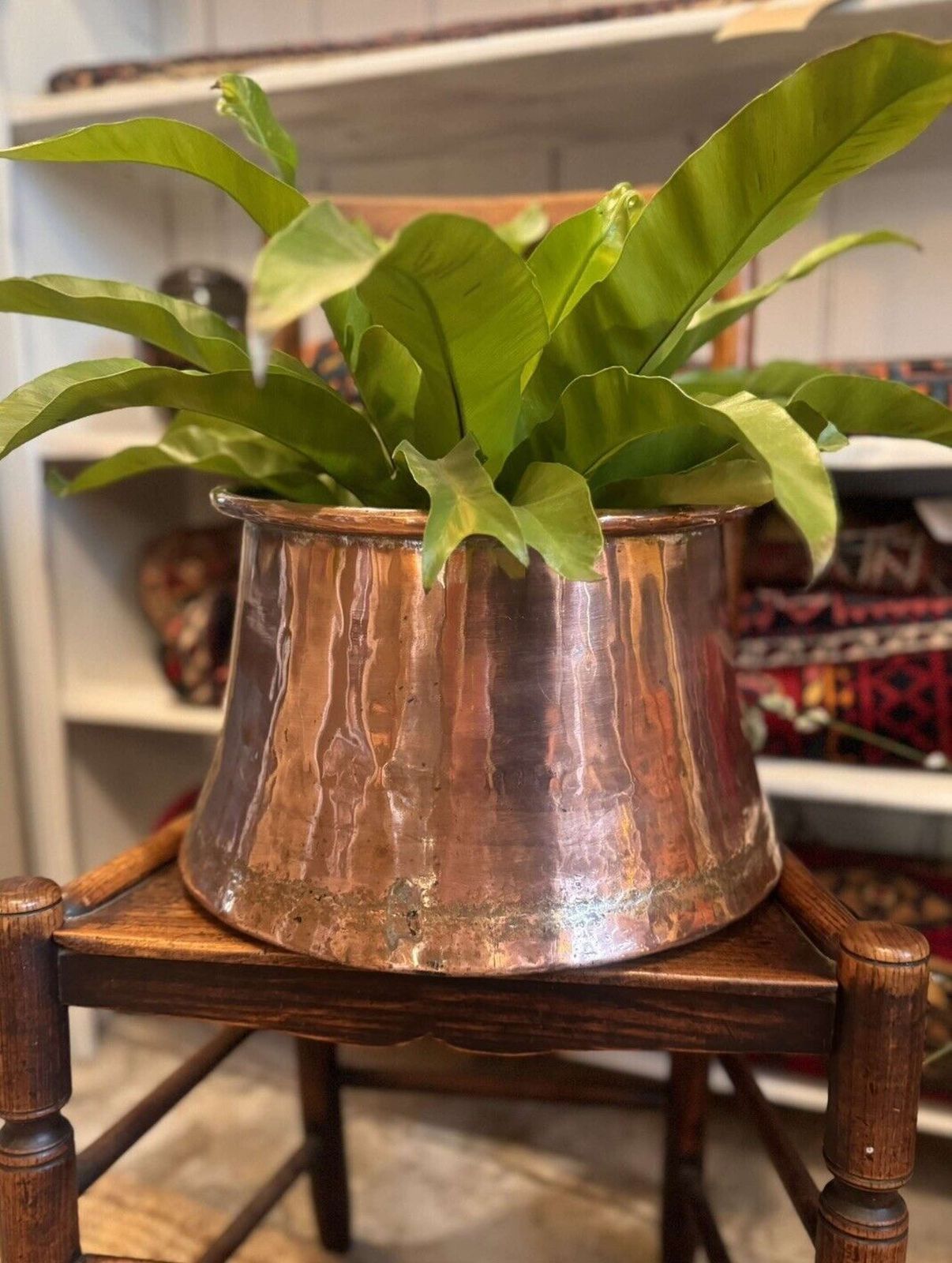 Antique Copper Cauldron/ Jardiniere 19th Century