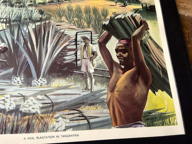 Vintage 1950s School Poster   'Sisal Plantation Tanganyika photo for sale